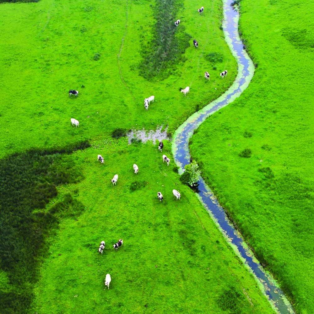 Screenshot 2025-01-23 at 9.45.35 PM