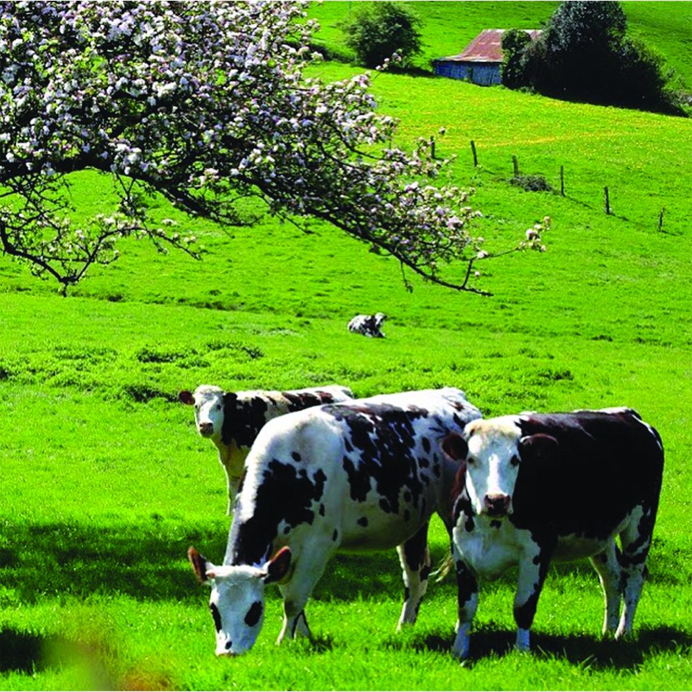 Screenshot 2025-01-23 at 9.47.55 PM